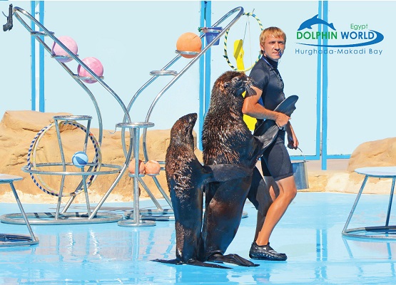 12281Smile_Tours_Adventure_Hurghada_3.jpg