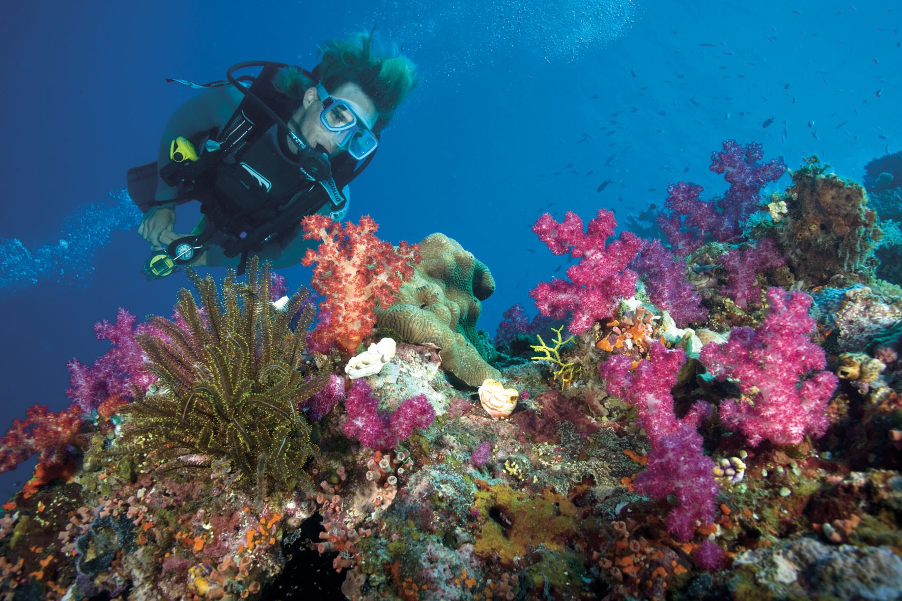 SHARM_EL_LULI_SNORKELING TOURS