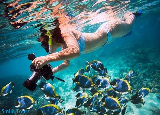 31186Smile_Tours_snorkling_Hurghada_2.jpg