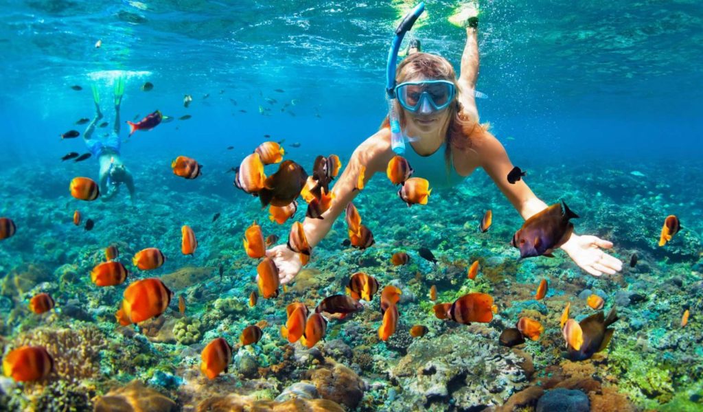 Snorkeling Trips From Marsa Alam