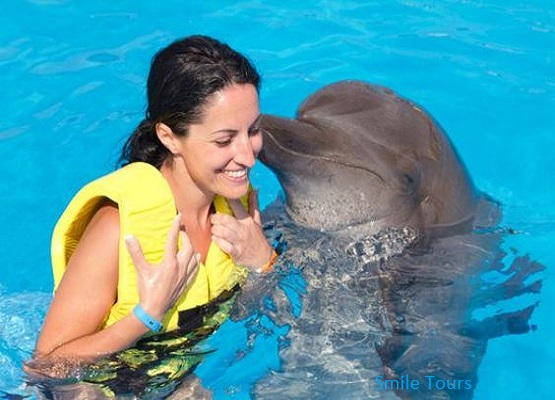 Schwimmen mit Delfinen Ausflug von Hurghada aus!