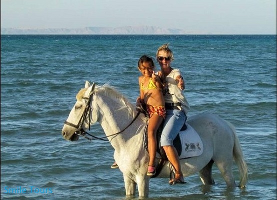 Pferdereiten am Meer und in der Wüste von Hurghada aus!