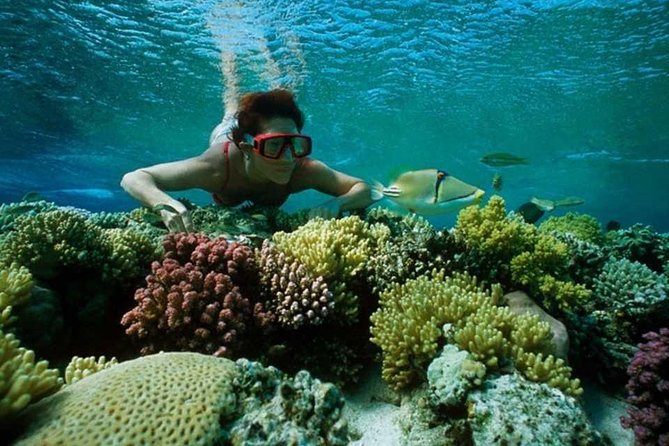Snorkeling Trips From Marsa Alam