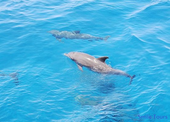 EXCURSII LA SNORKELING ÎN HURGHADA