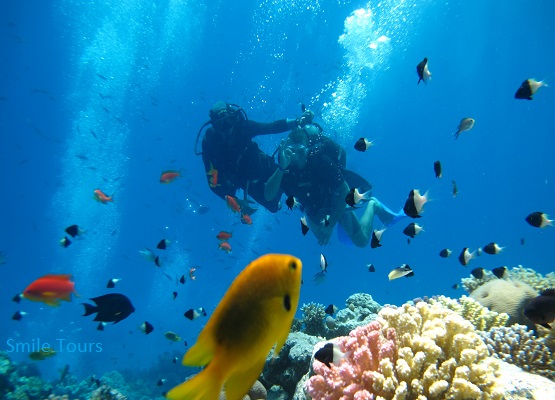 Scuba Diving Trips From Hurghada