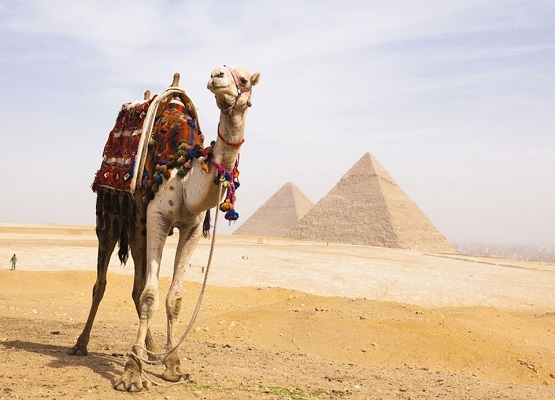 62565Smile_Tours_Cairo-and-Luxor-Tours_3.jpg