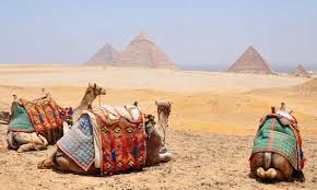 EGYPT CLASSIC TOURS