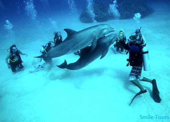 Scuba Diving Trips From Hurghada
